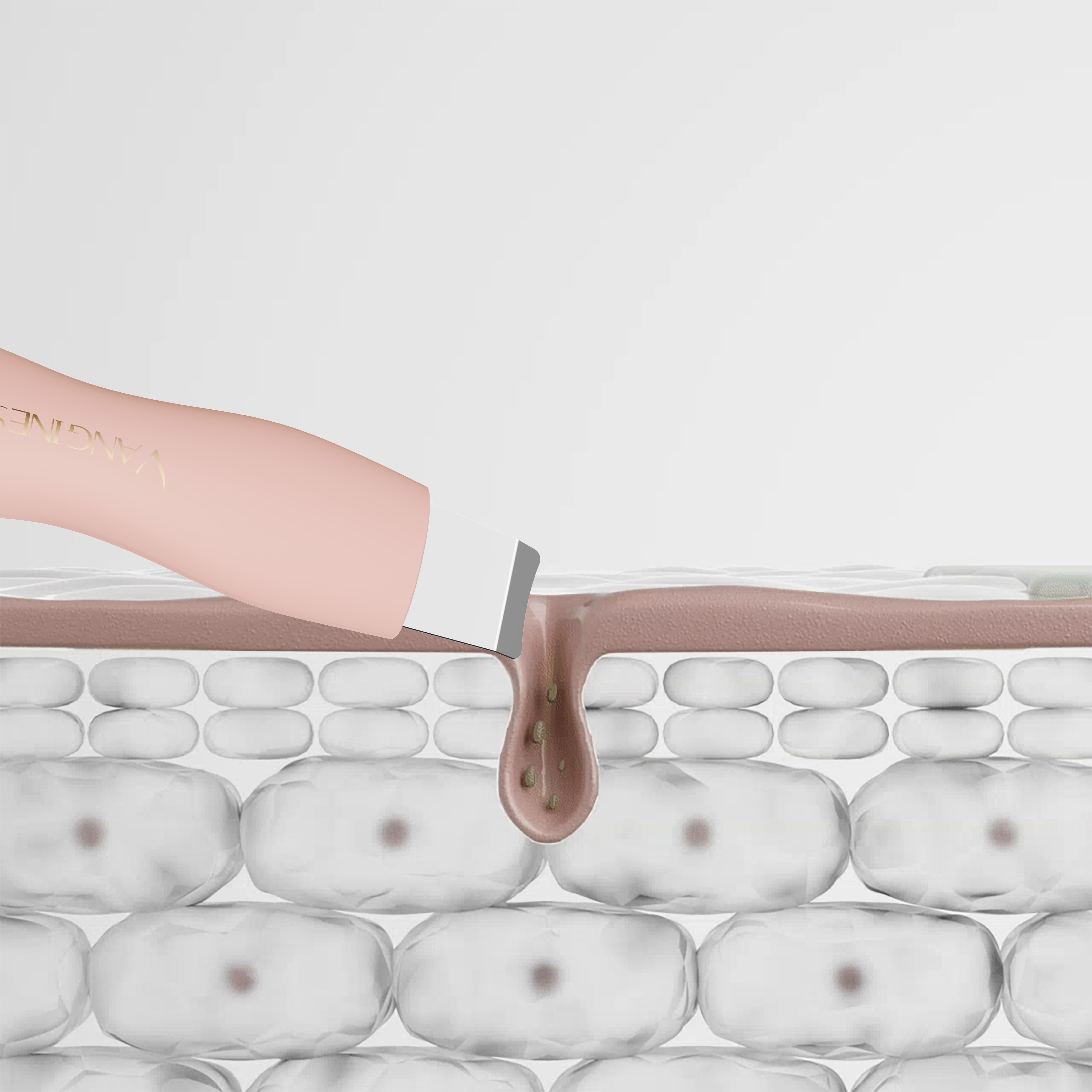 VANGINES使用效果